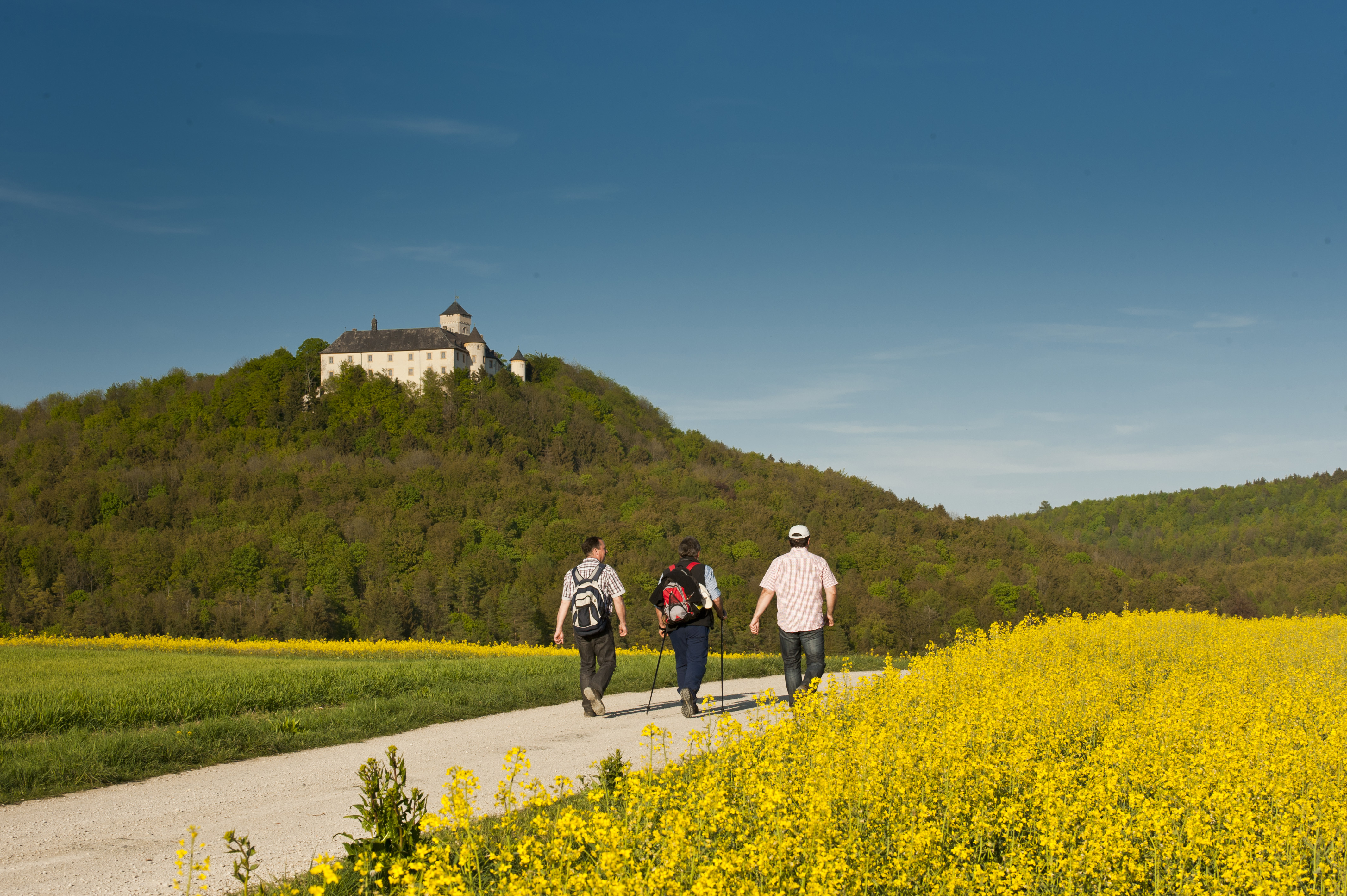 Tourismusstatistik | Bamberg